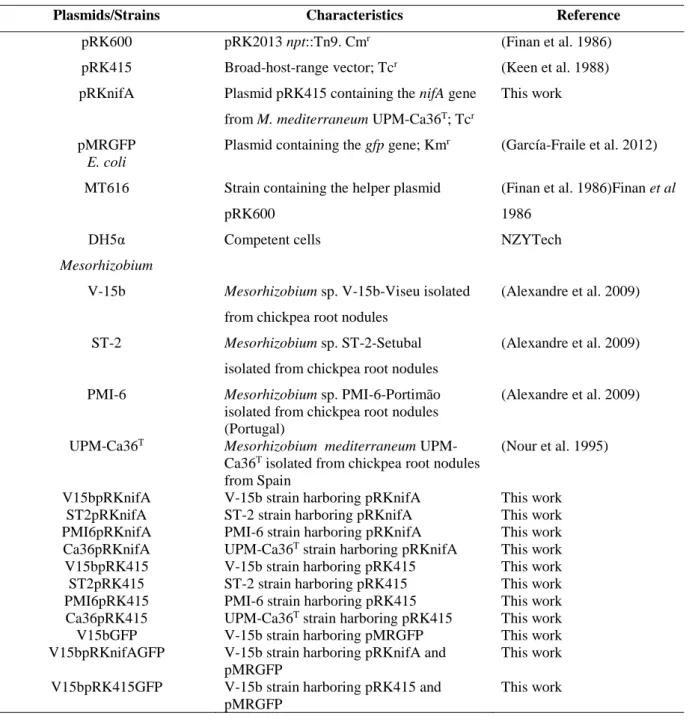 Table 1 Bacterial strains and plasmids used in this work 