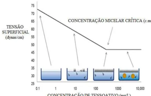 Figura 3.1. Comportamento dos monômeros do tensoativo relacionado com a  concentração do tensoativo e a tensão superficial