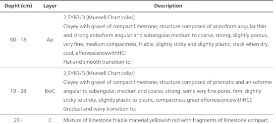 Table 7. VerticCambisol / Traditional System - Vc / TS =