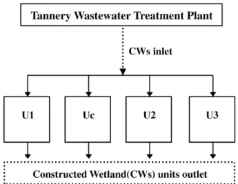 Fig. 1 – Schematic representation of the constructed wetlands (CWs).