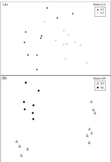 Fig. 6 – Multidimensional scaling diagram of DGGE patterns of samples collected in the constructed wetlands (CWs) of (A) U2 and U3 and (B) U1 and Uc