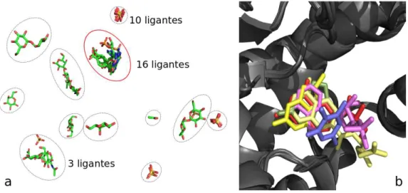 Figura 2.4. Resultado da busca de ligantes. Em (a), são mostrados os grupos de ligantes encontrados nas estruturas alinhadas