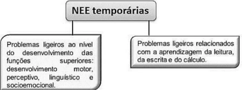 Figura 3 - Tipos de NEE temporárias 