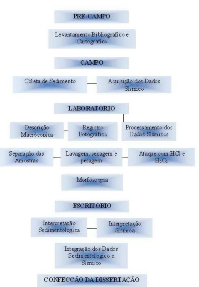 Figura 12 - Fluxograma com a descrição das atividades de trabalho realizadas ao longo desta  dissertação