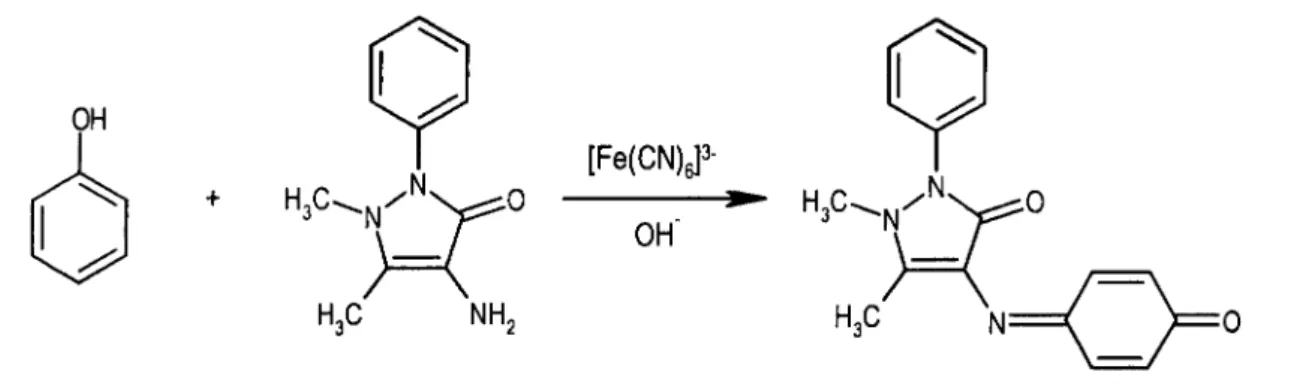 Figura 1.1. Representação da condensação oxidativa do fenol com a 4-aminoantipirina e consequente  formação de um derivado corado