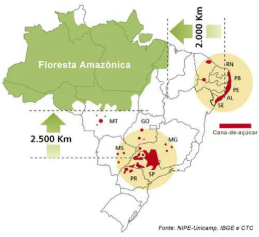 Figura 1  – Principais regiões de produção de cana-de-açúcar no Brasil 