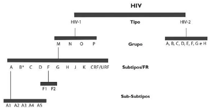 Figura 1 – Classificação do HIV quanto a tipos, grupos, subtipos/FR e sub-subtipos. 
