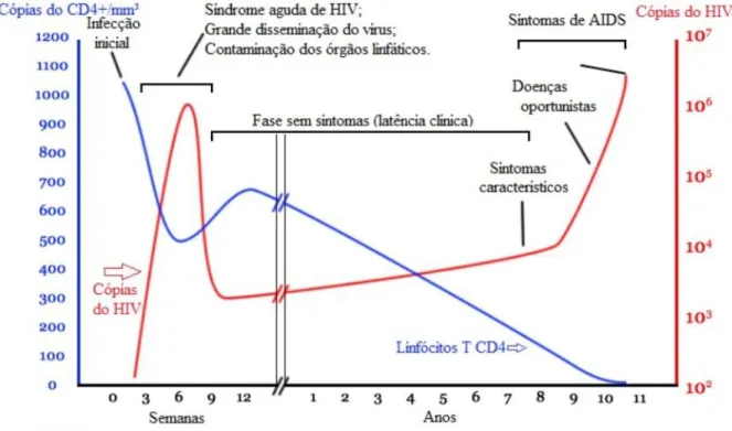 Figura 3: Fases Clínicas da infecção por HIV 