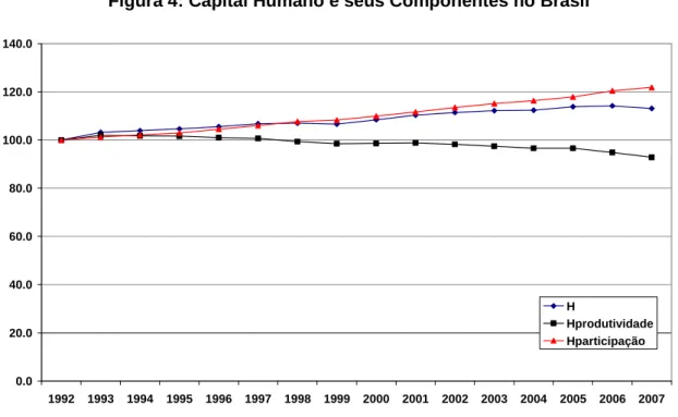 Figura 4: Capital Humano e seus Componentes no Brasil 0.020.040.060.080.0100.0120.0140.0 1992 1993 1994 1995 1996 1997 1998 1999 2000 2001 2002 2003 2004 2005 2006 2007HHprodutividadeHparticipação