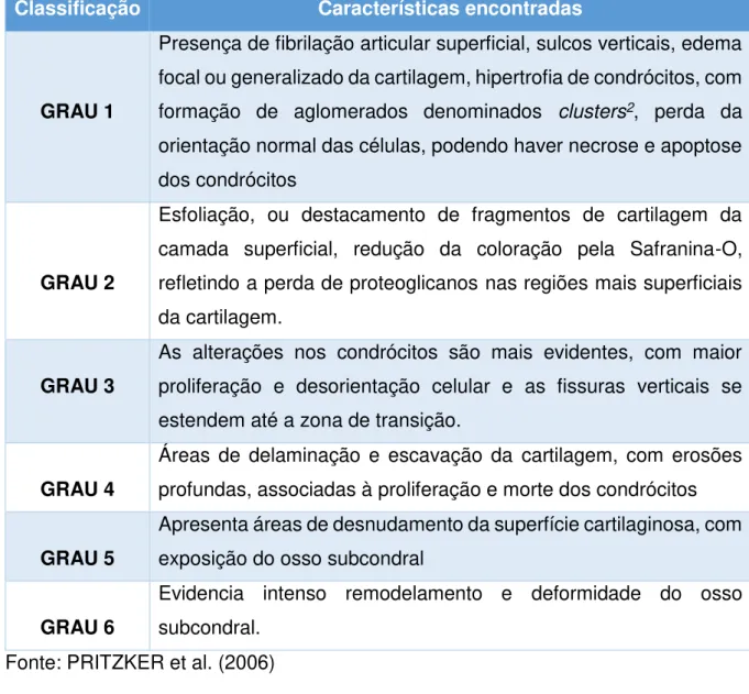 Tabela  1-  Classificação  das  alterações  histológicas  da  cartilagem  articular  de  acordo com a OARSI