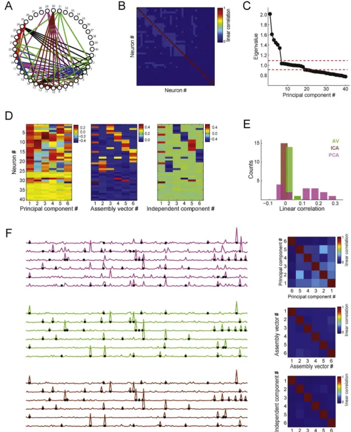 Fig. 8. PCA, ICA, and AV method performance for highly distributed assemblies. 40 neurons were simulated (mean 1 spike/bin) for 20,000 time bins