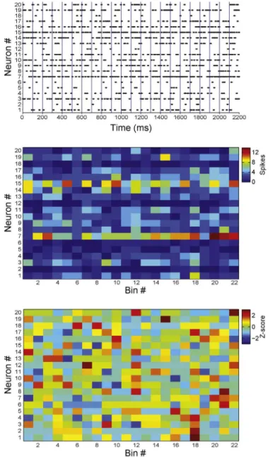 Fig. 1. Pre-processing of spiking activity data. Top panel: spike raster plot of 20 simulated neurons