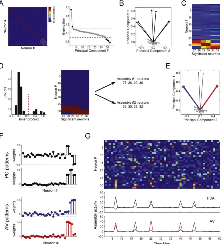 Fig. 6. Detecting and tracking cell assembly activity using assembly vectors. (A) Left: Correlation matrix