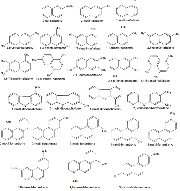 Figura 4 - Principais hidrocarbonetos policíclicos aromáticos alquilados. 