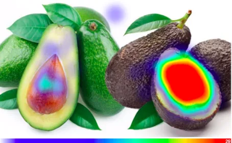 Figure 5: Respondents decided upon the preferred Avocado Type by clicking on it on the Heat Map