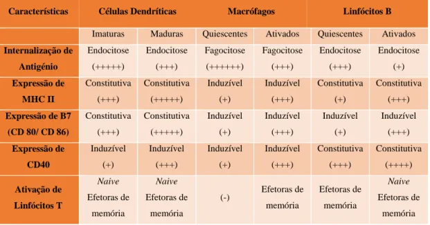 Tabela 5 – Características principais das células apresentadoras de antigénio (retirado de Arosa et al., 2007)