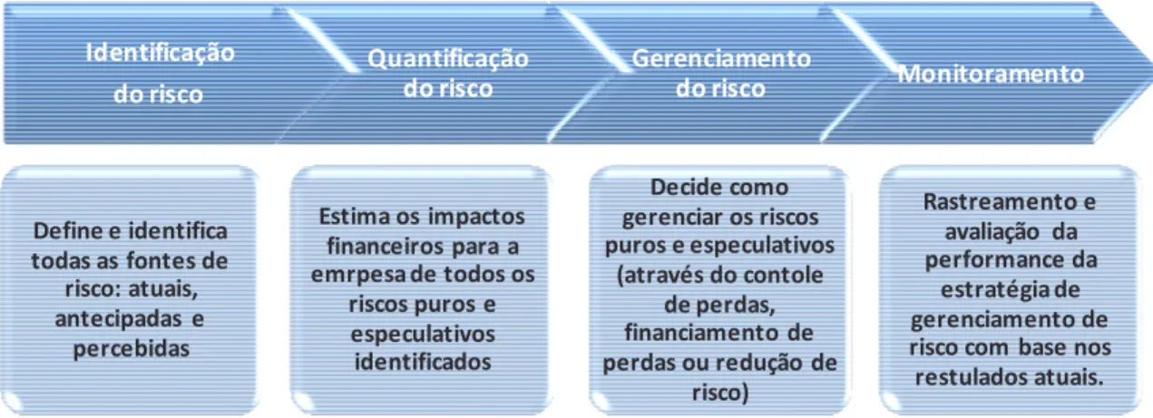 Figura 1: Processo de gerenciamento de risco. BANKS (2004). 