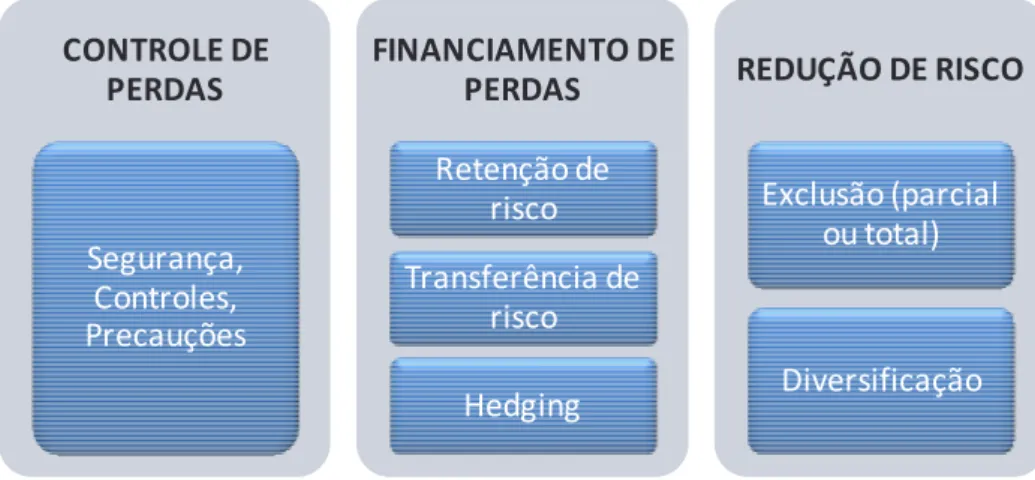 Figura 2: Formas genéricas de gerenciamento de risco. BANKS (2004). 