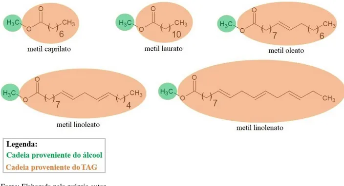 Figura 2.1 – Exemplos de ésteres de ácidos graxos encontrados em biodieseis metílicos