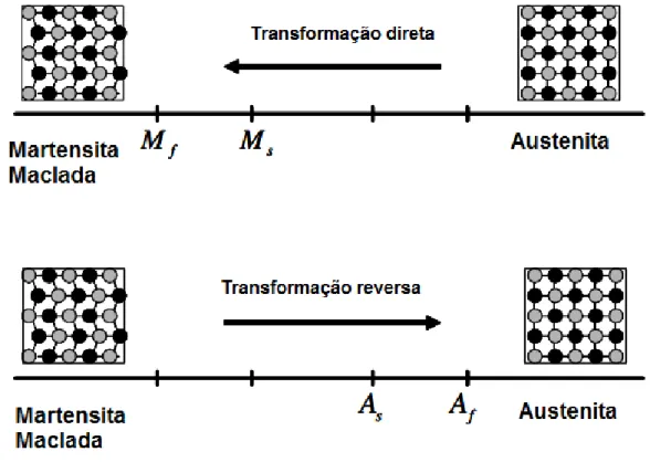 Figura  3.2  -  Ilustração  da  reação  direta  e  reversa  com  as  respectivas  temperaturas de início e fim das transformações