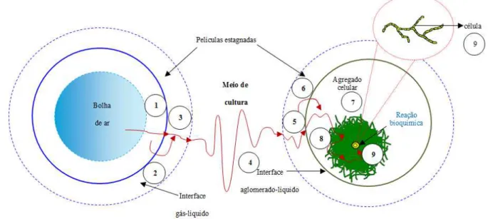 Figura 2.9. Representação esquemática de resistências associadas à transferência de oxigênio  desde o seio da bolha até seu consumo pela célula