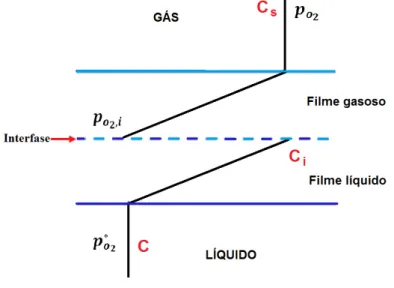 Figura 2.9.  Representação esquemática da interface gás-líquido na transferência de O 2  para  oxigenação de um meio líquido