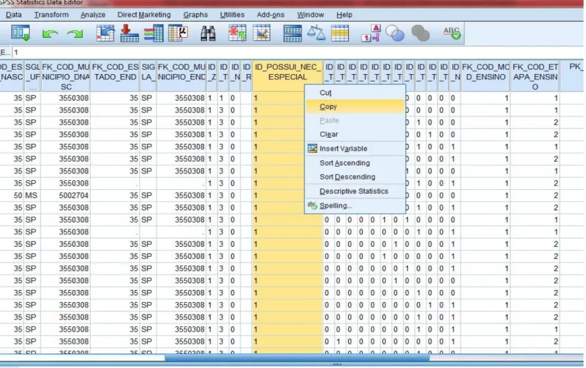 Figura 3 – Copiar os casos dos alunos que apresentam NEE no programa SPSS 