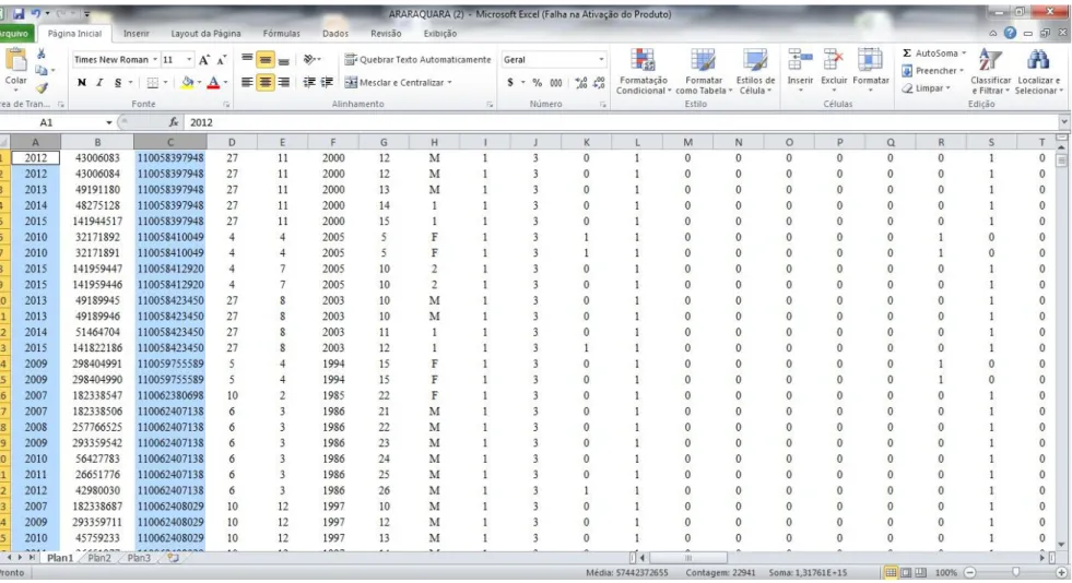 Figura 7 – Agrupamento da variável código aluno utilizando os recursos do Excel