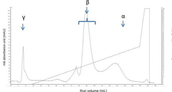 Figure 1. Chromatogram of dry seeds L. albus β-conglutin purification by anion exchange chromatography