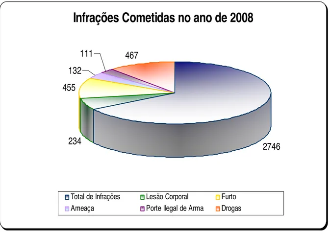 Gráfico 1: Infrações Cometidas no ano de 2008. 