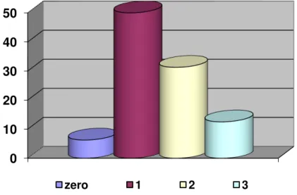 Gráfico nº 10  –  Número de pessoas na produção 