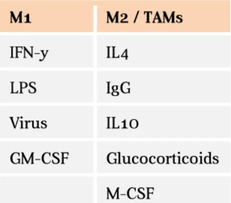 Table 2. M1 and M2 stimuli in macrophages (Martinez and Gordon, 2014) 