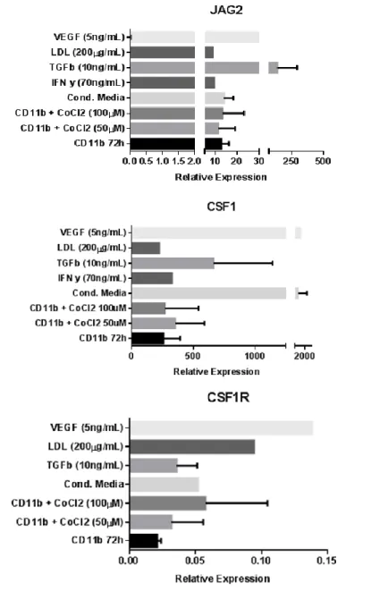 Figure 8. RNA analysis shows a large heterogeneity among  donors. Quantitative  real-time  (RT-qPCR)  for  iNOS,  ARG1,  JAG2,    CSF1  and  CSF1R  in  sorted  CD11b + cells cultured in different conditions is inconclusive