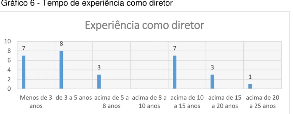 Gráfico 6 - Tempo de experiência como diretor