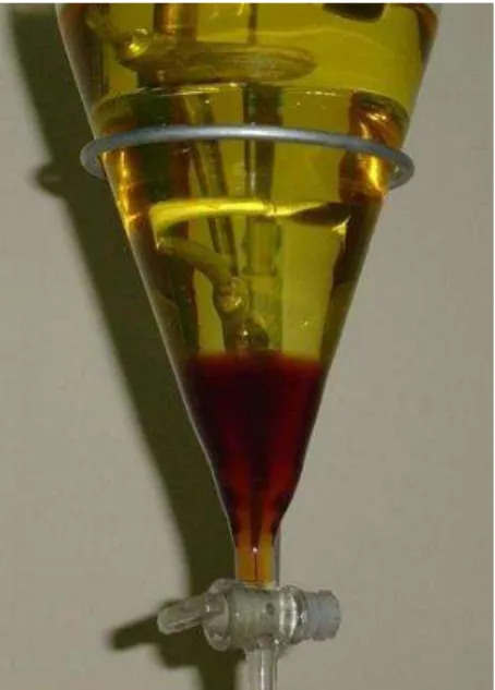Figura 2.8. Funil de separação contendo as duas fases líquidas - biodiesel e glicerina - formadas pela  reação de transesterificação ( Boni,  2008) 
