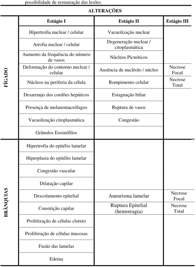 Tabela 1. Alterações Histopatológicas em fígado e brânquias e respectivos estágios baseados no grau de  possibilidade de restauração das lesões