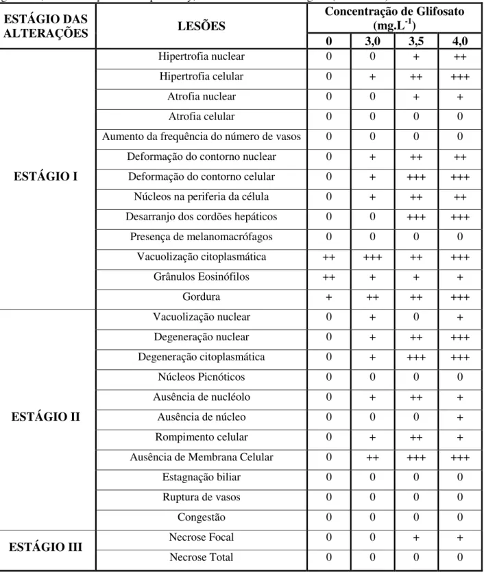 Tabela  4.  Frequência  de  alterações  encontradas  nos  fígados  de  pacu  (P.mesopotamicus)  submetidos  ao  glifosato, na formulação Roundup ®  Ready, em teste de toxicidade aguda (CL 50-48h)