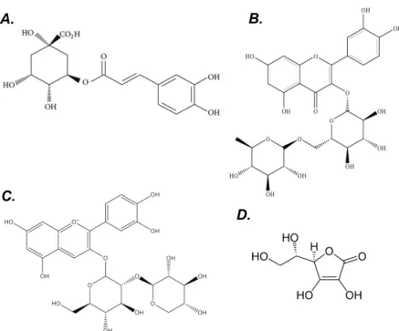 Figura  1.  Estruturas  químicas  de  alguns  compostos  presentes  no  extrato  de  baga  de  sabugueiro