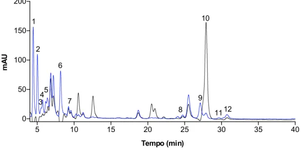 Figura 4 – Perfil de carotenoides do extrato total (Metanol/Acetato etilo) de C. tomentosum