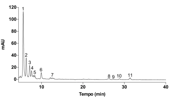 Figura 6. Cromatograma do extrato da fração de acetona, obtida por fracionamento em coluna de sílica do  extrato  total  de  C