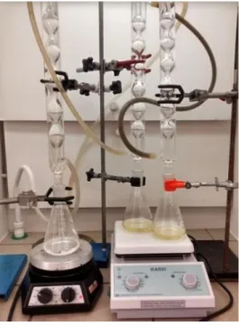 Figura 9: Montagem utilizada para o processo de hidrólise das amostras de óleo  conforme norma do Instituto Adolfo Lutz