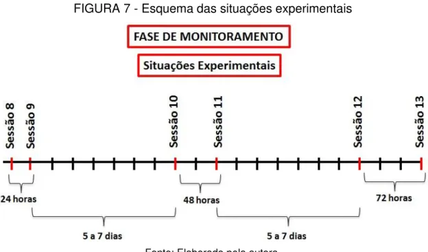 FIGURA 7 - Esquema das situações experimentais 