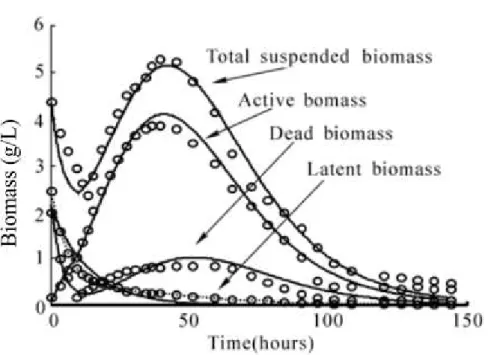 Figura 3: Variação da biomassa durante a fermentação