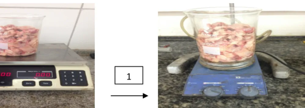 Figura 5 - Fluxograma da extração do sebo bovino (primeiro processo). 