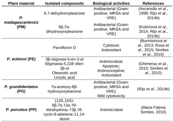 Table 2 Terpene, phytosterols, and polyphenols isolated from the described Plectranthus spp