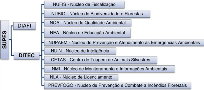 Figura 1  –  Organograma da SUPES/CE 