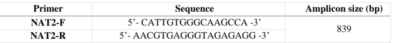 Table 3.2 – Primers used to amplify NAT2 gene and respective amplicon size 