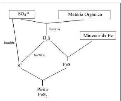 Figura 2.6. Representação diagramática do processo completo de formação da pirita  (adaptado de Berner, 1984).
