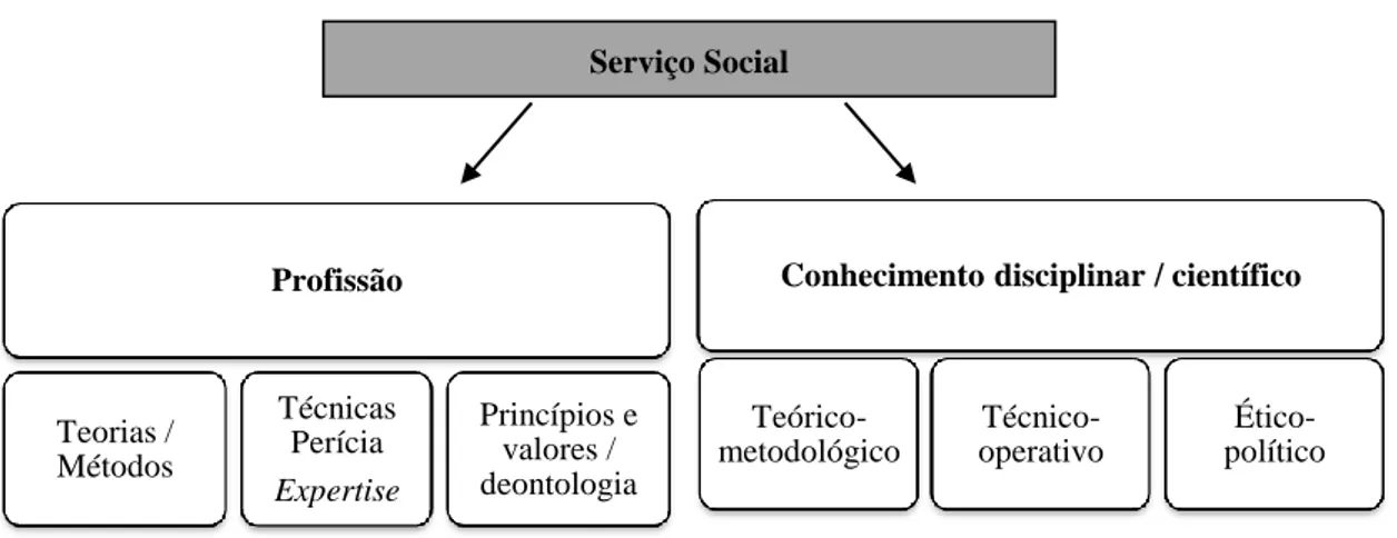 Figura 3: Serviço Social, profissão e saber disciplinar 