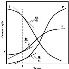Figura 1. Representação das variações de concentrações em um processo fermentativo.  P, concentração do produto; S, substrato; X, microrganismo 
